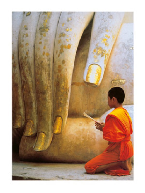 The Hand of Buddha von Hugh Sitton