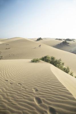 jumping at the desert