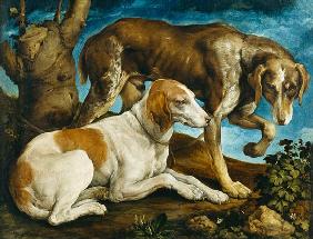 Two Hunting Dogs Tied to a Tree Stump c.1548-50