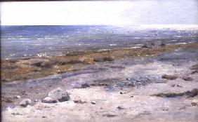 The Beach, Mols