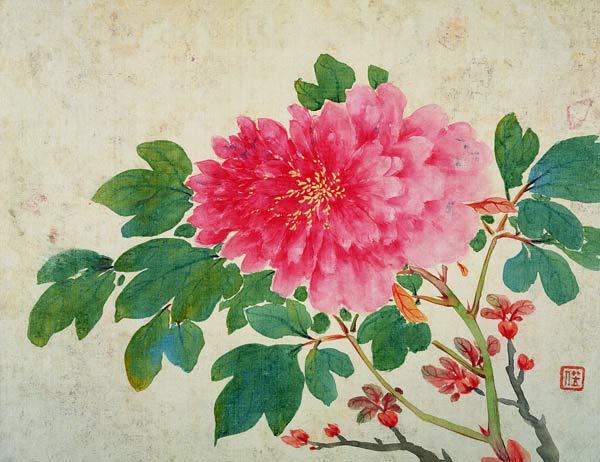 Painting of Peonies, from the 'Album of Paintings of Flowers, Fruits, Birds and Animals' von Jiang  Yu