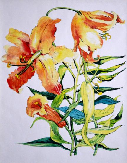 Orange Lilies 1 1985