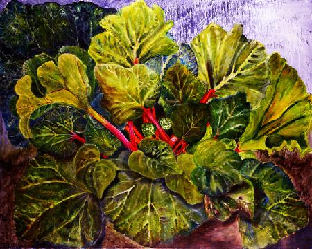 rhubarb 2016