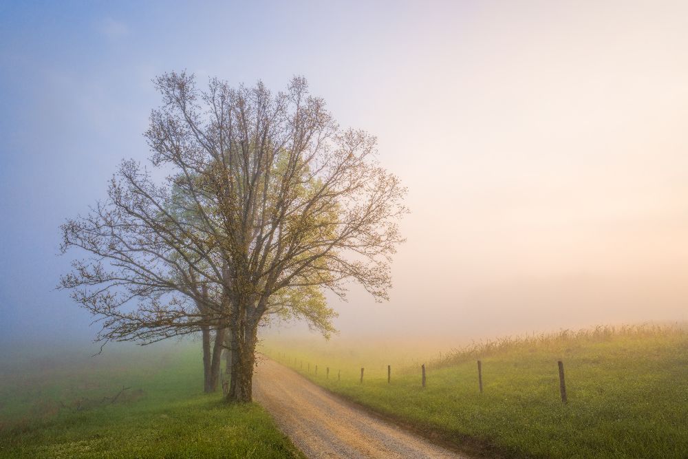 Stille der Tage von John Fan