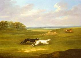 Running, a Coursing Scene 1816