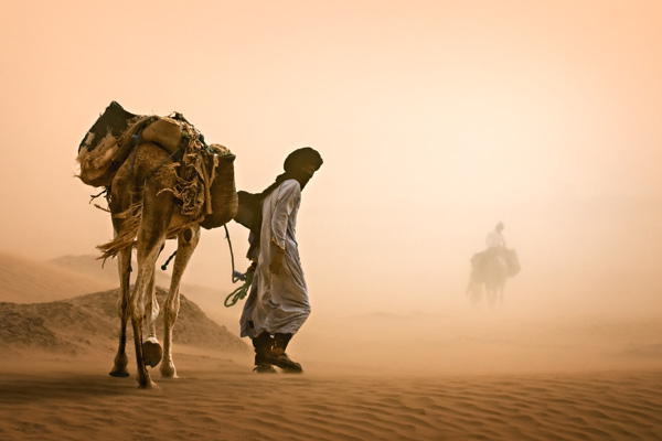 Sand Storm von Jovelino