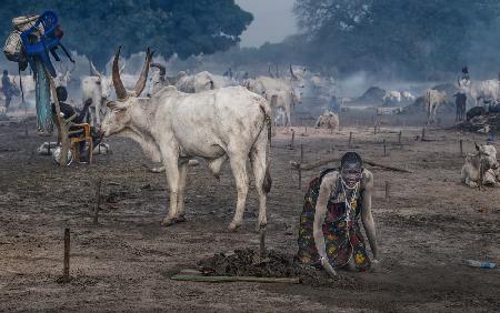 Frau in einem Mundari-Rinderlager – Südsudan