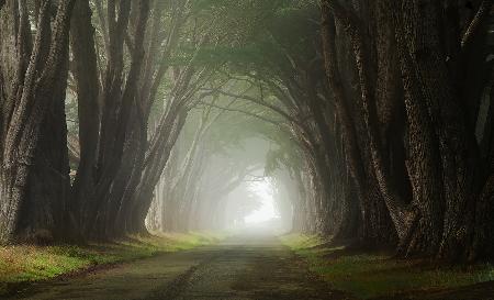 Licht am Ende des Tunnels