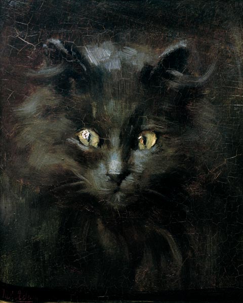 Porträt einer Katze von Julius Adam