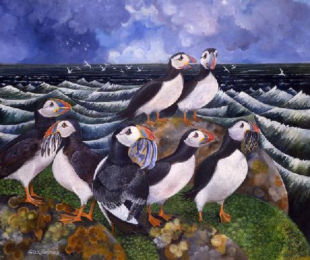 Puffins 2000