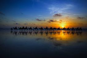 Sunset Camel Ride