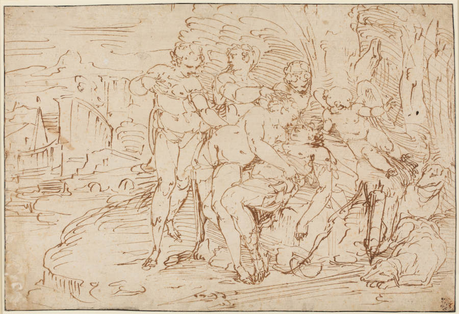 Venus trauert um Adonis von Luca Cambiaso