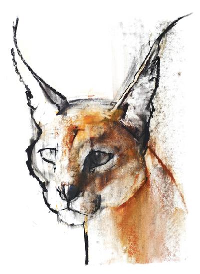 Feline (Arabian Caracal) 2009