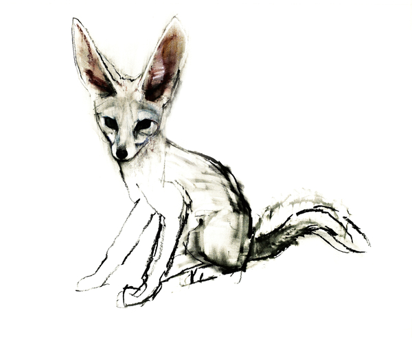 Foxy (Sand Fox) von Mark  Adlington
