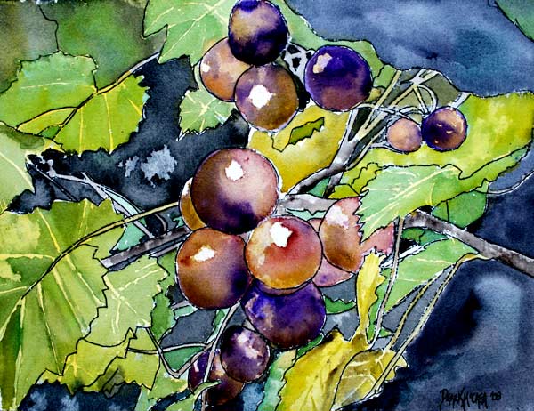 Grape Vine von Derek McCrea