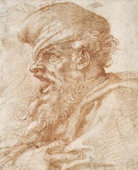 Head of a Bearded Man Shouting c.1525