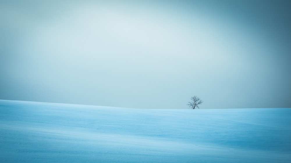 Winter in solitude von Miroslaw