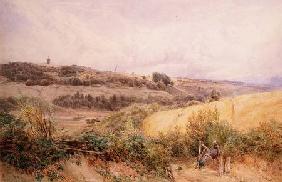 Summer Landscape near Haslemere, Surrey