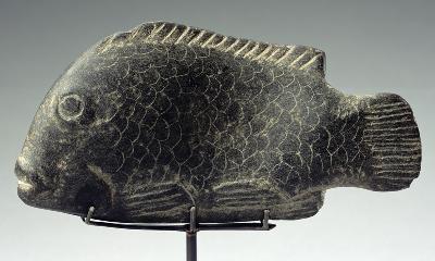 Fish 1540-1069