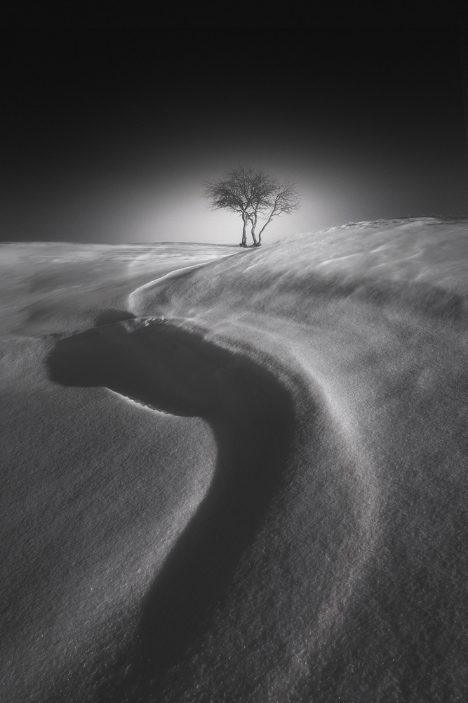 Schatten der S-Form auf dem Schnee von NingYun Ye