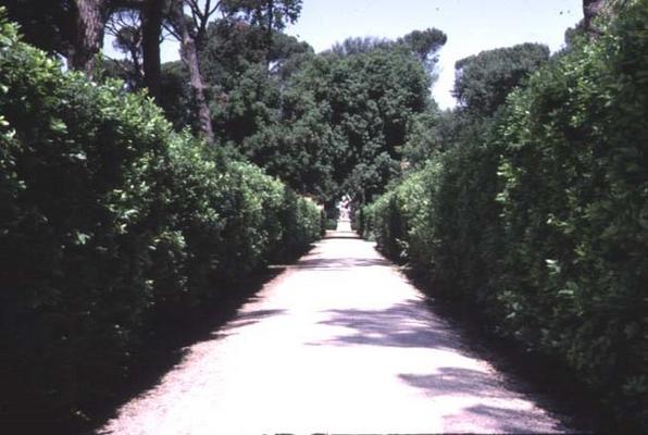 View of the garden, detail of the walkway lined with boxwood hedges, designed by Nanni di Baccio Big von 