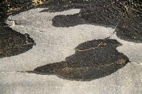 Dry rock and wet patches on rock Ghadoi (photo) 