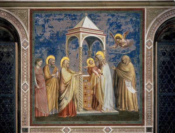 Giotto, Darbringung im Tempel / Padua von 