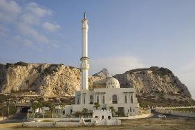 Mosque of the Custodian of the Two Holy Mosques (photo) 