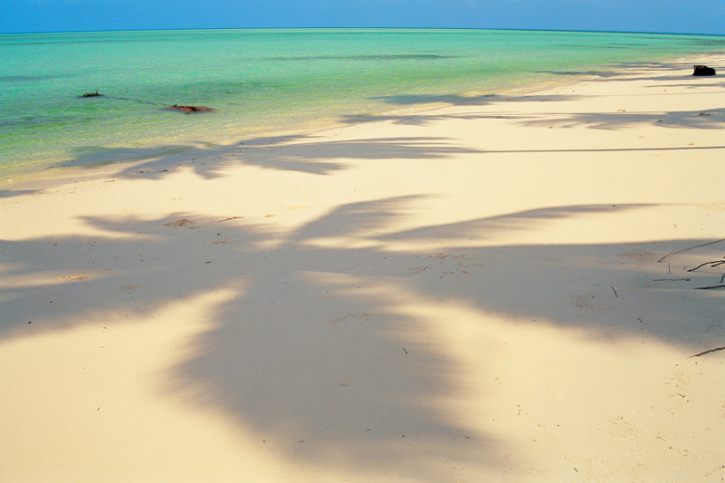 Shadow of palm tree on sand, Bangaram (photo)  von 