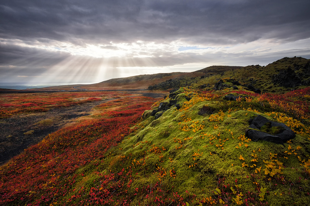 Licht und Farben des Herbstes von Þorsteinn H. Ingibergsson