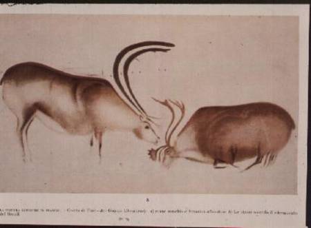 Male and female deer, Magdalenian school von Paleolithic