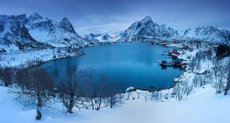 Reine