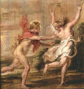 Apollo and Daphne c.1636