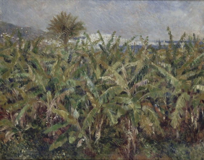 Bananenfeld (Champ de bananiers) von Pierre-Auguste Renoir