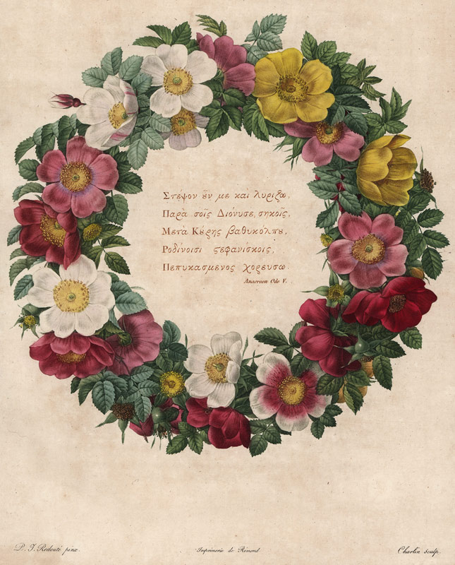 Christmas Roses von Pierre Joseph Redouté