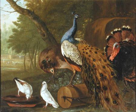 An Assembly of Birds in a Classical Park von Pieter Casteels
