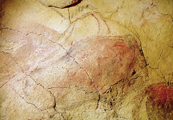 Bison, from the Caves at Altamira von Prehistoric