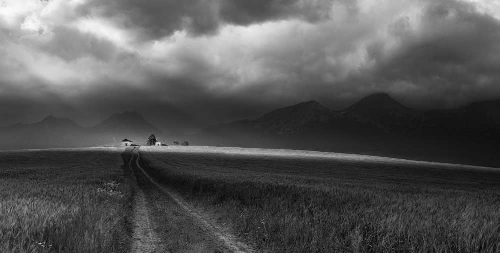 Light on the horizon von Rasto Gallo