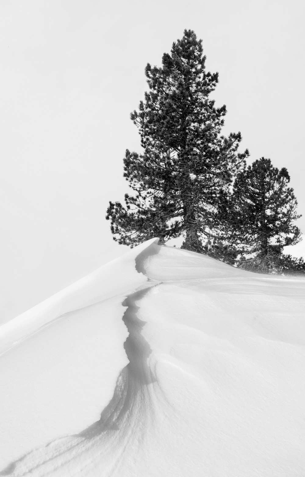 Bild:  Rodrigo Núñez Buj - About the snow and forms