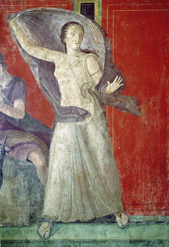 The Startled Woman, North Wall, Oecus 5 von Roman