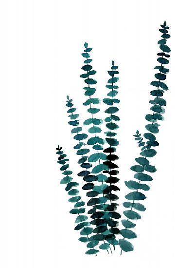 Blaugrünes Aquarell Eukalyptus I