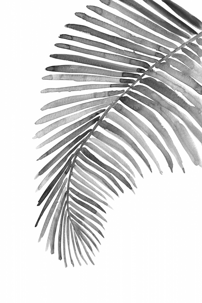 Palmblatt in losem Aquarell sw von Rosana Laiz Blursbyai