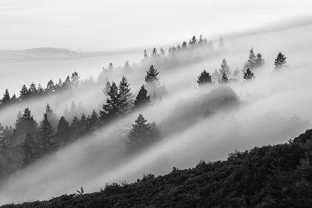 Fließender Nebel