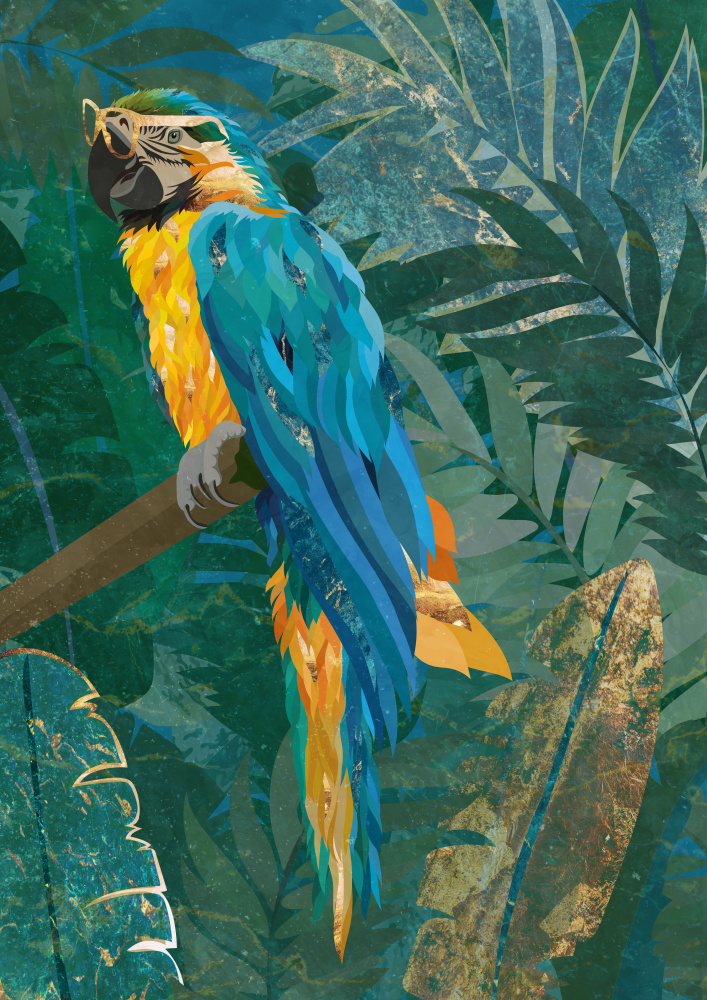 Blauer Papagei im Regenwald von Sarah Manovski