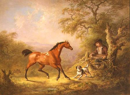 A Groom Feeding a Horse von Sawrey Gilpin