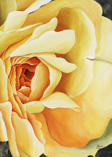 Gelbe Rose (rechts) von Stefanie Zachmann