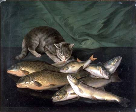 A Cat with Trout, Perch and Carp on a Ledge von Stephen Elmer
