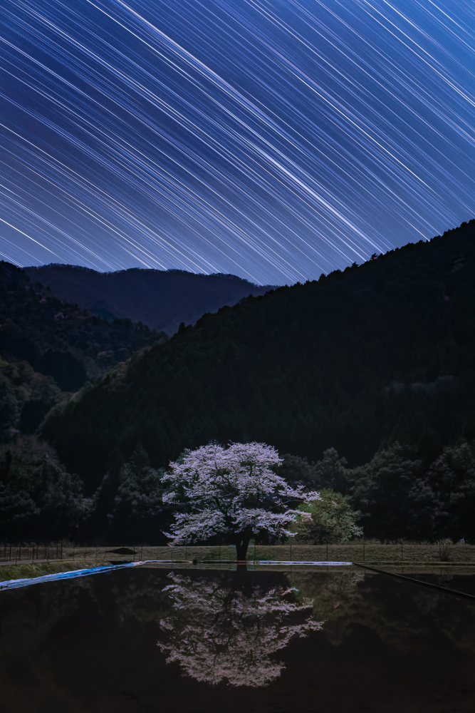 Sternenklare Nacht von Takeshi Mitamura