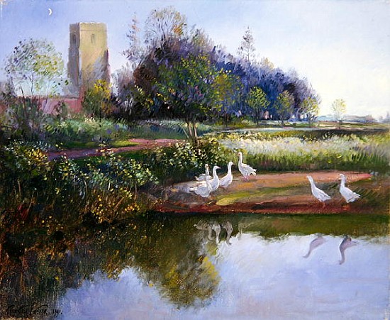 Geese at Sundown, 1991  von Timothy  Easton