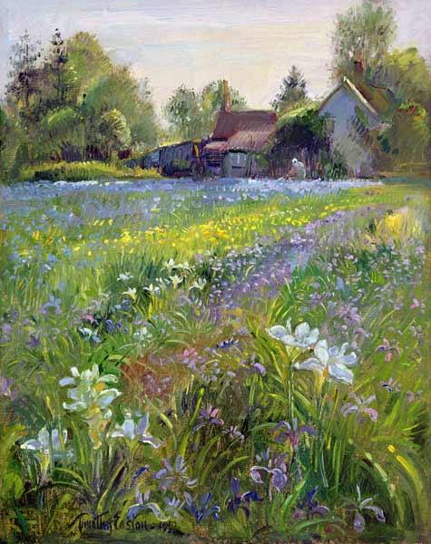 Dwarf Irises and Cottage, 1993  1993